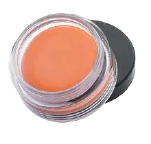 Perfect Finish Concealer